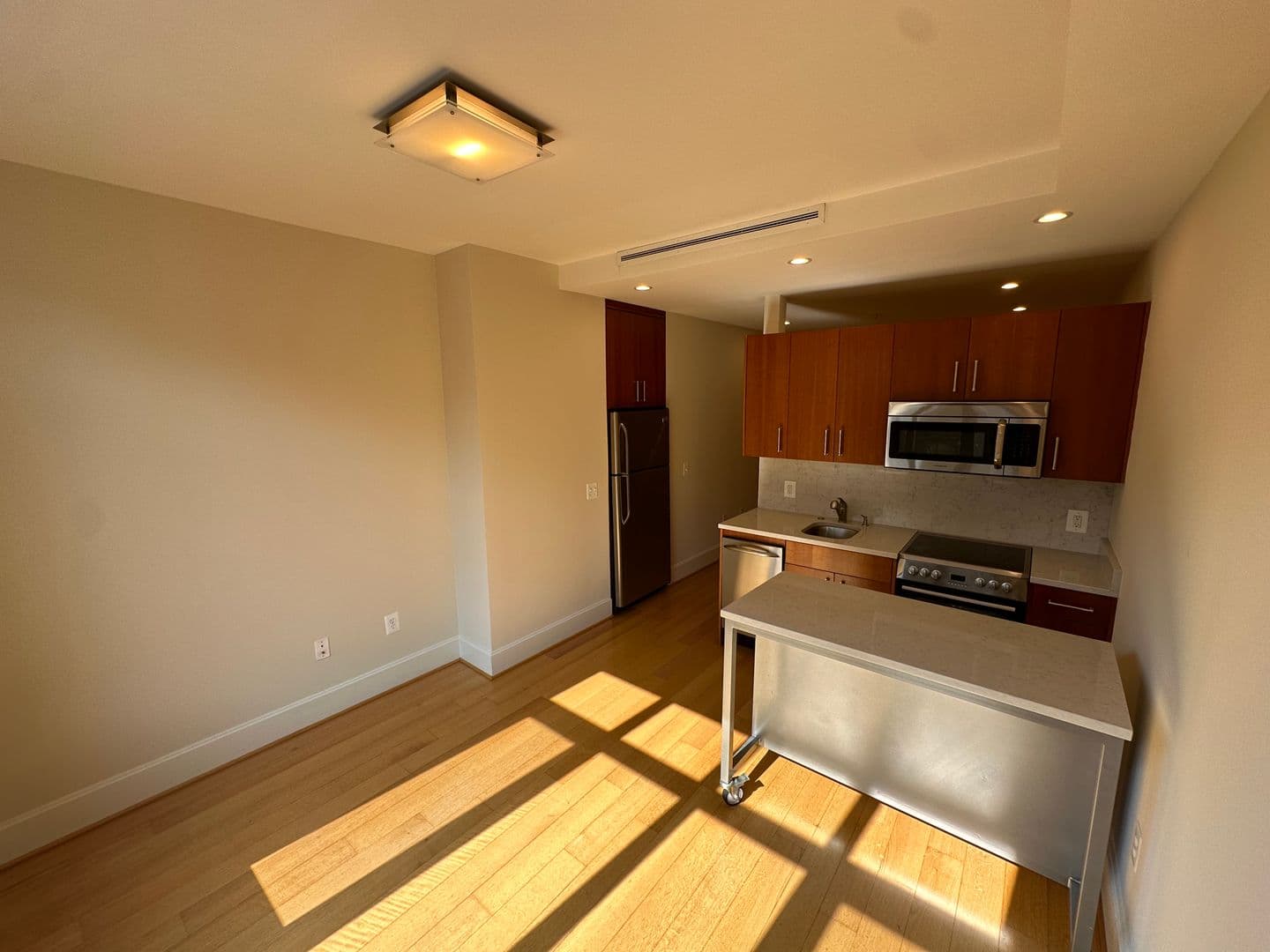 Washington Apartment: 1919 14th Street, NW