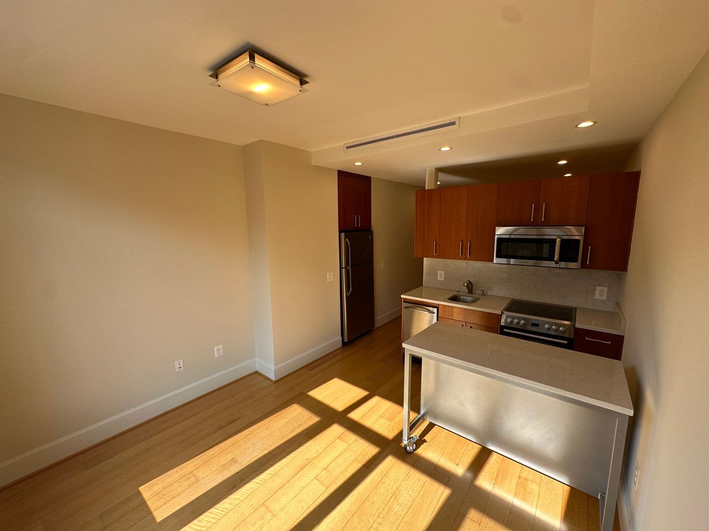 Washington Apartment: 1919 14th Street, NW