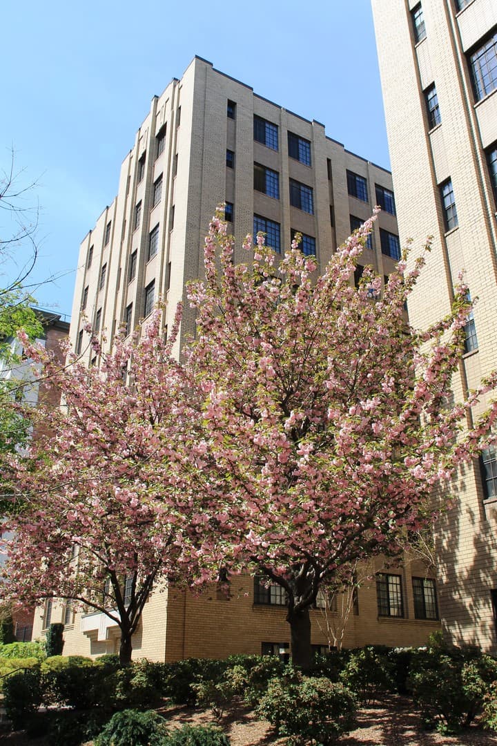 Washington Apartment: 2000 Connecticut Avenue, NW