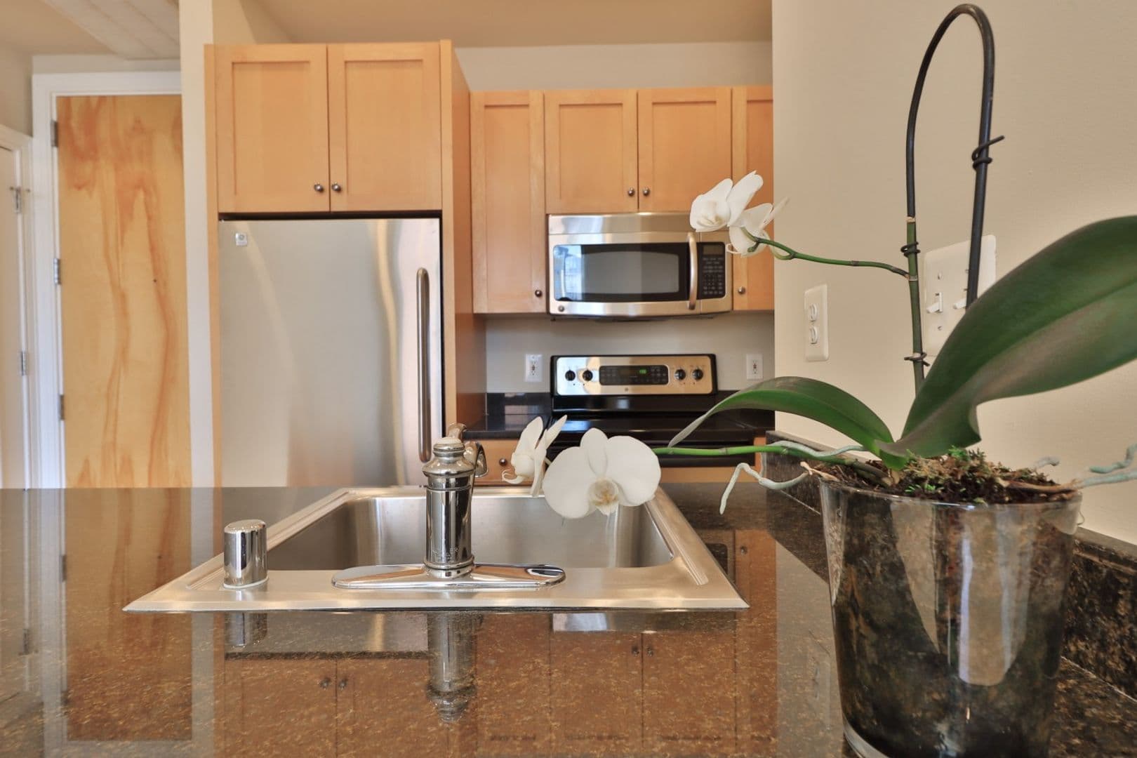 Washington Apartment: 1515 O Street, NW