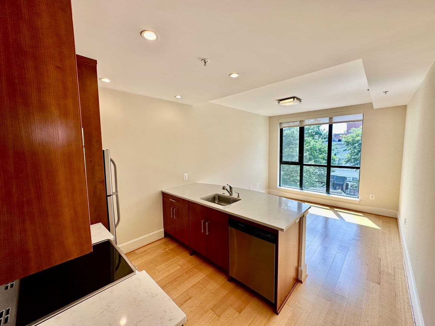 Washington Apartment: 1919 14th Street, NW