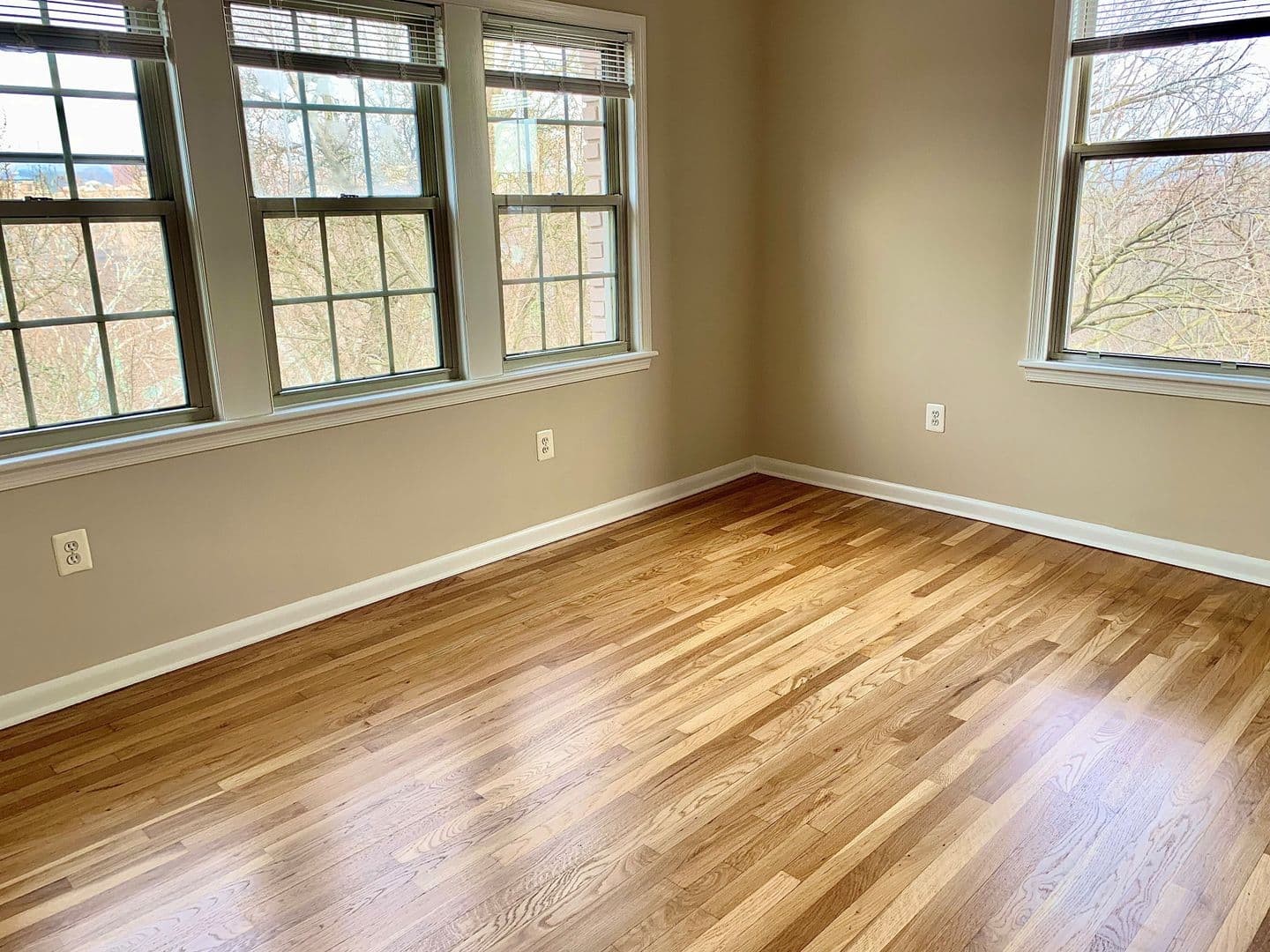 Washington Apartment: 2070 Belmont Rd, NW