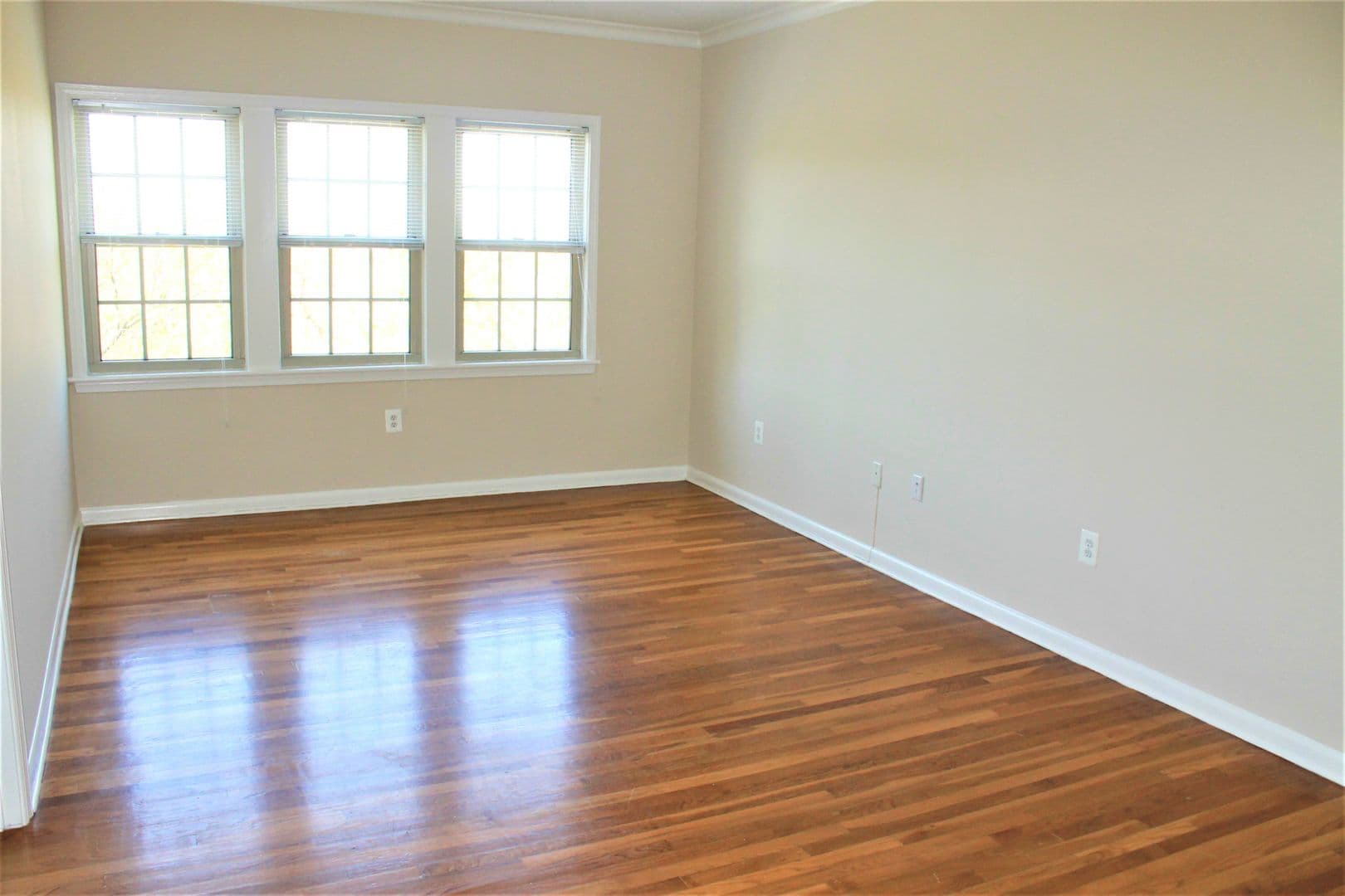 Washington Apartment: 2070 Belmont Rd, NW