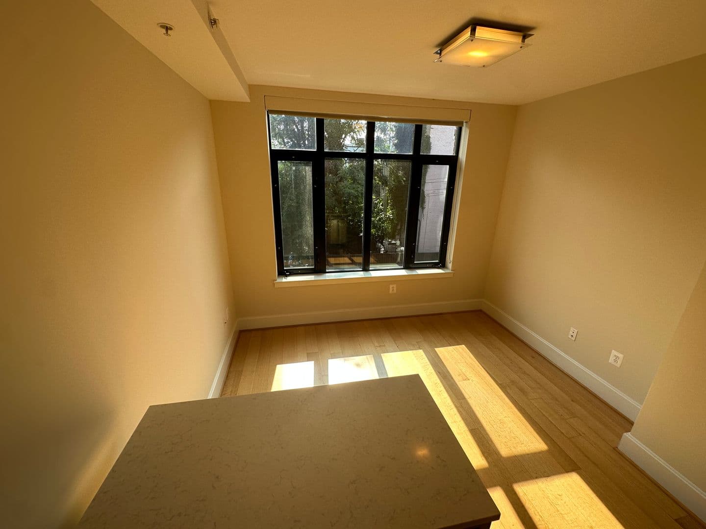 Washington Apartment: 1919 14th Street, NW