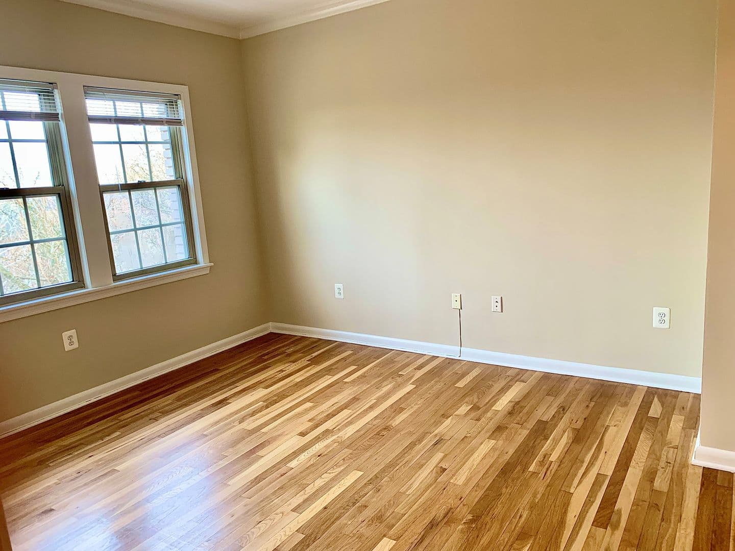 Washington Apartment: 2070 Belmont Rd, NW