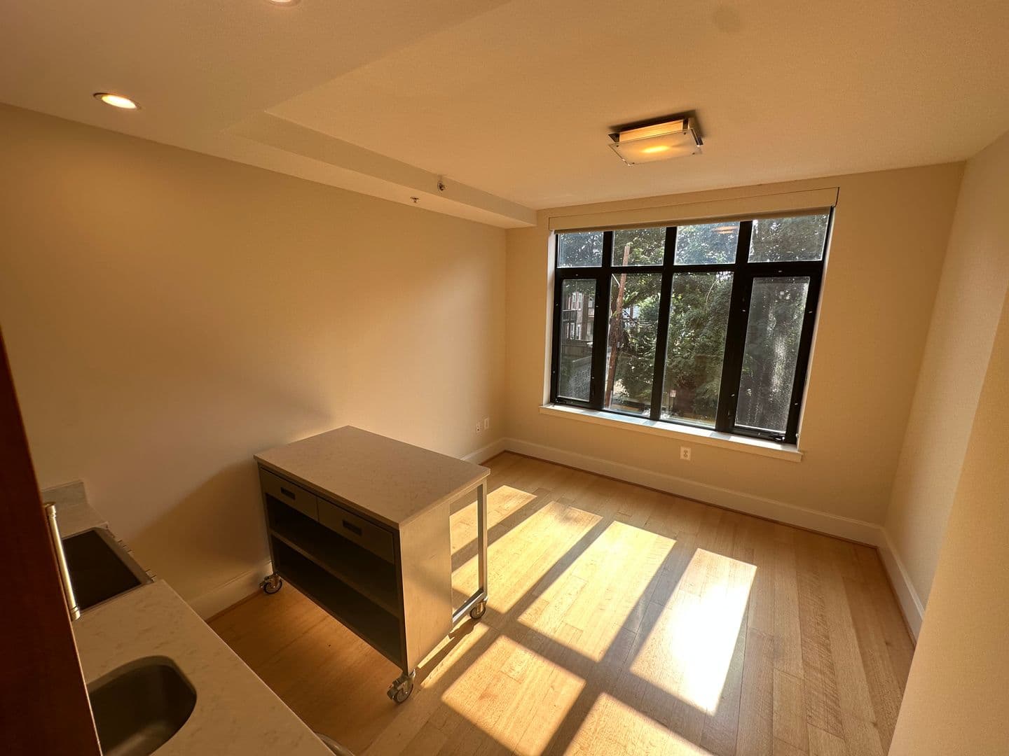 Washington Apartment: 1919 14th Street, NW