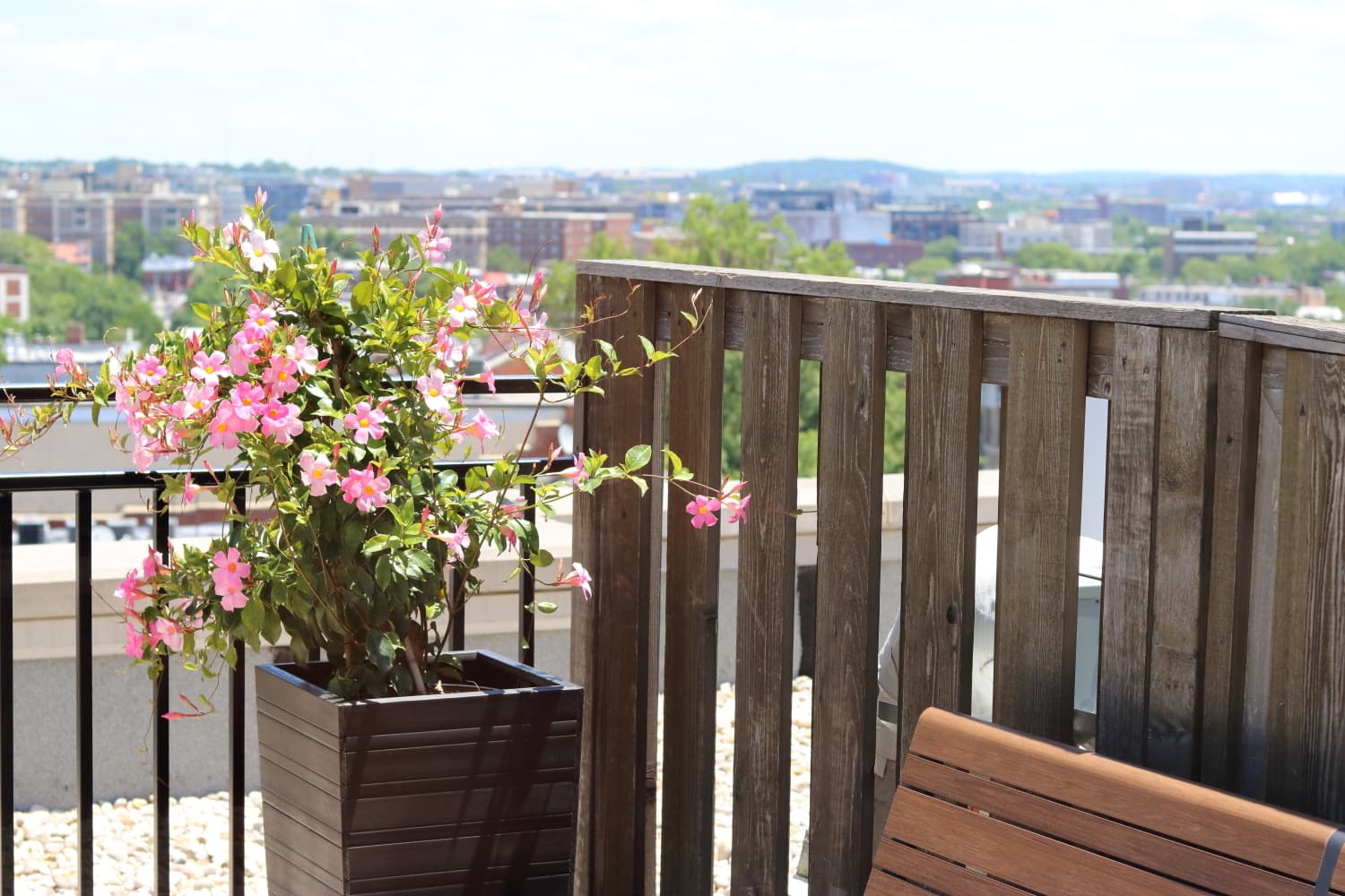 Washington Apartment: 2110 19th Street, NW