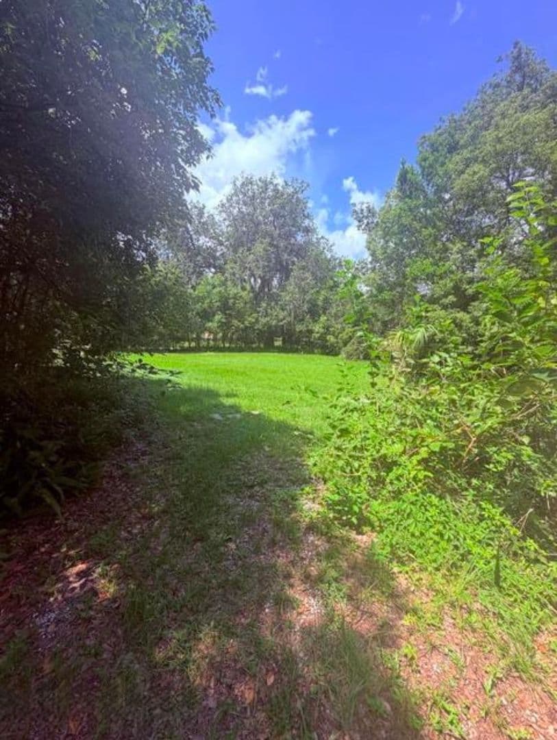Jacksonville House: 3515 N Laura Street