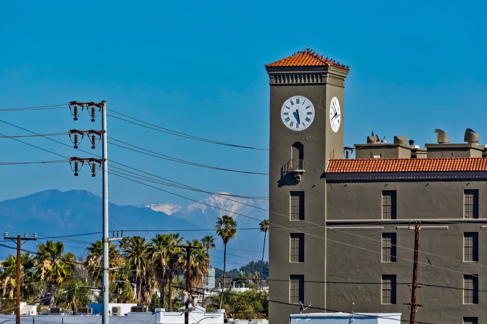 Los Angeles Apartment: 1025 Wilcox Avenue