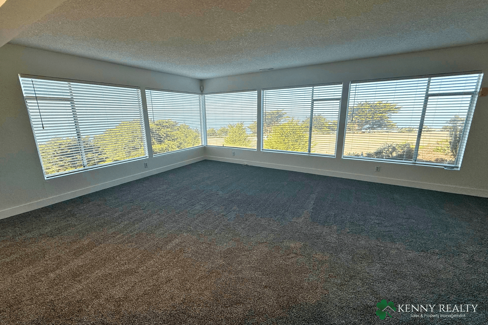 Pacifica House: 23 Holiday Court
