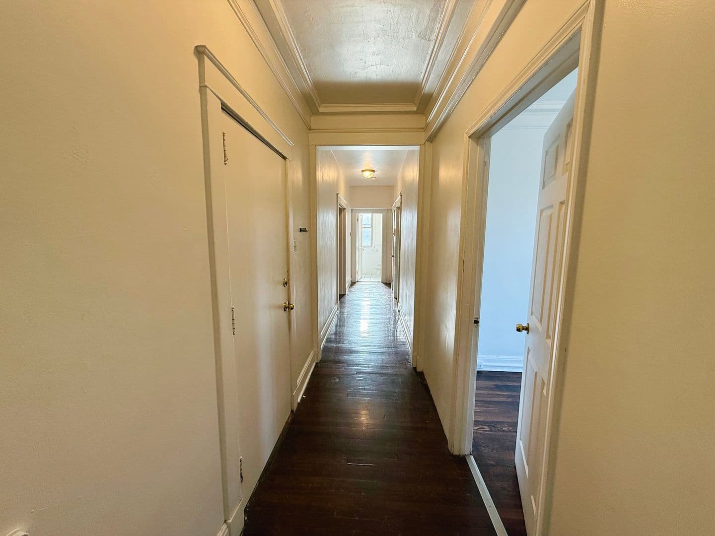 Pittsburgh Apartment: 5752 Ellsworth Ave
