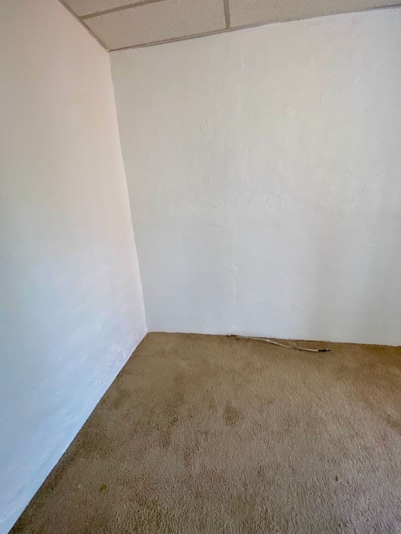 Pittsburgh Apartment: 3617 Dawson St