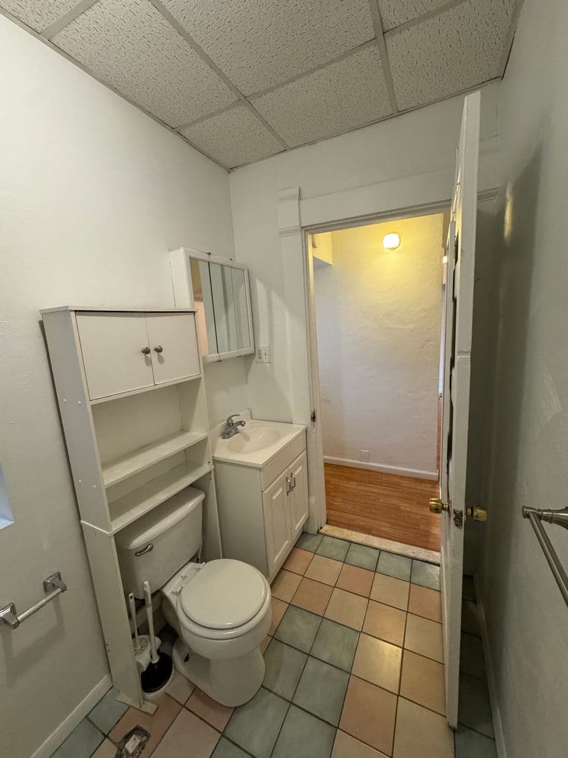 Pittsburgh Apartment: 514 Ivy St
