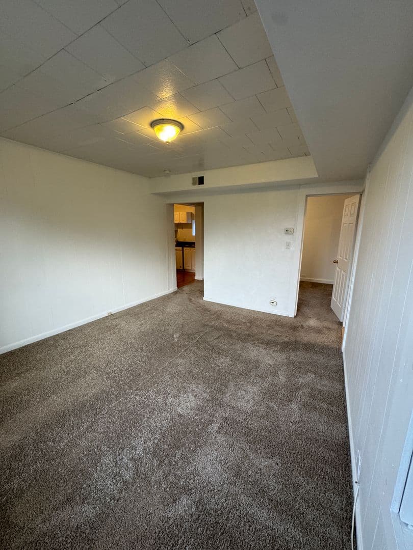 Pittsburgh Apartment: 514 Ivy St