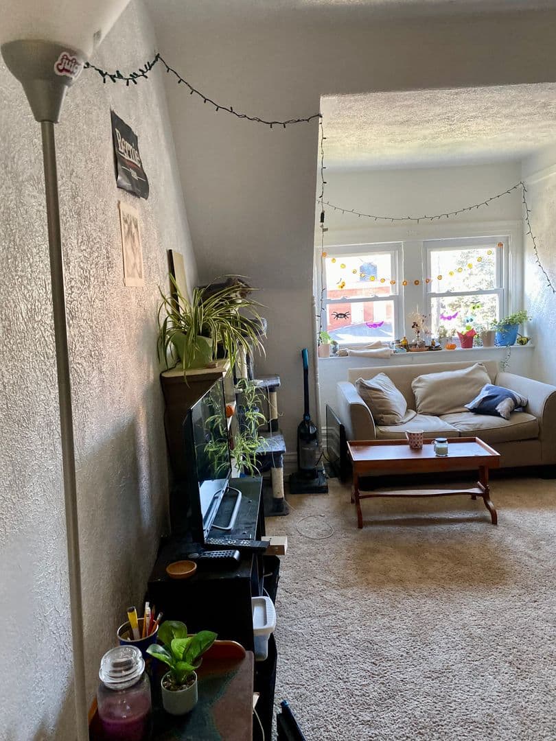 Pittsburgh Apartment: 435 S. Graham St