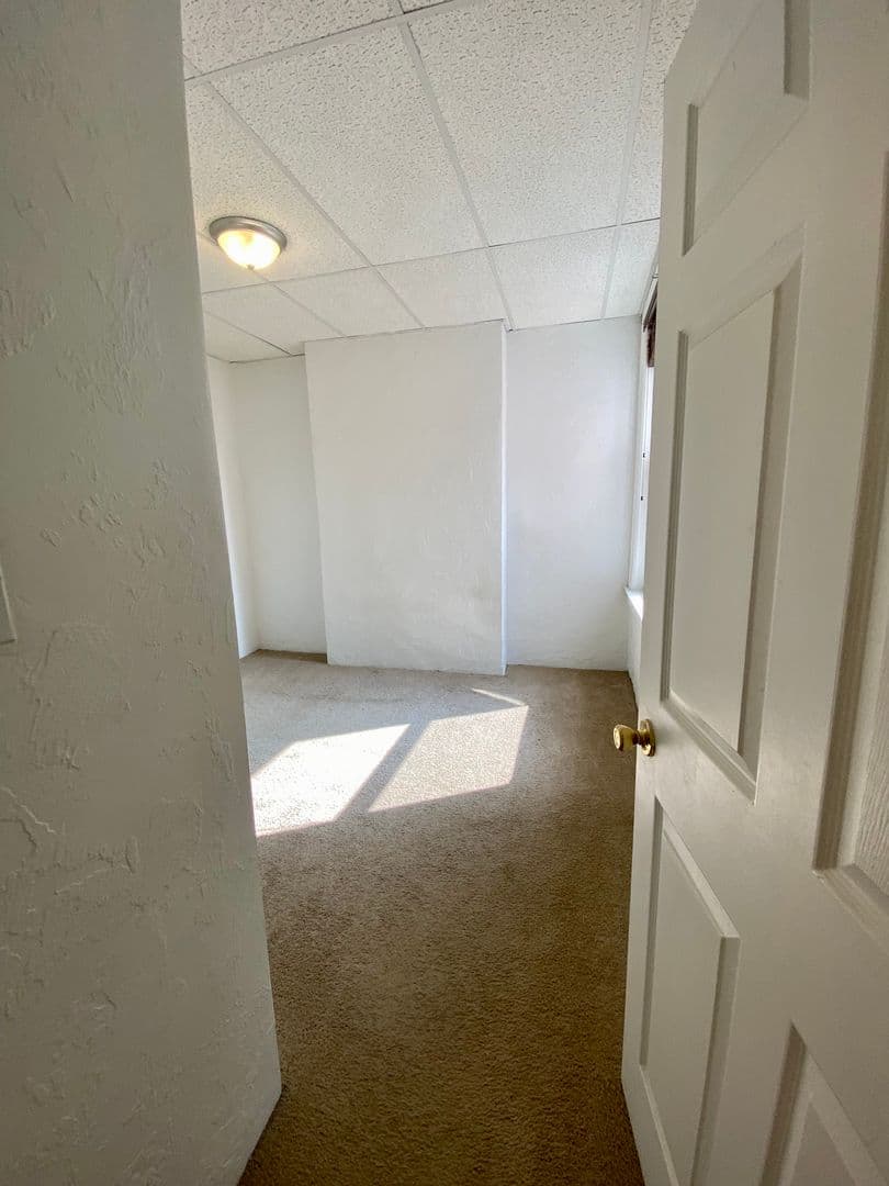 Pittsburgh Apartment: 3617 Dawson St