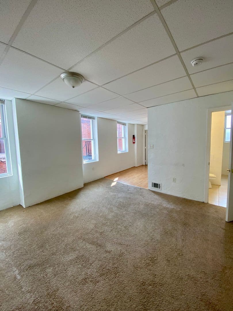 Pittsburgh Apartment: 3617 Dawson St