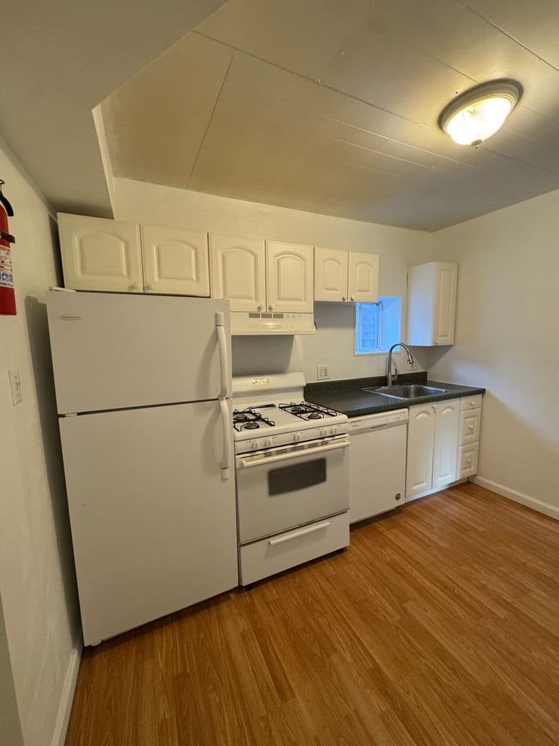 Pittsburgh Apartment: 514 Ivy St