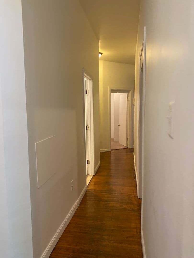Pittsburgh Apartment: 514 Ivy St