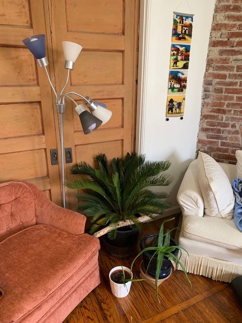 Pittsburgh Apartment: 514 Ivy St