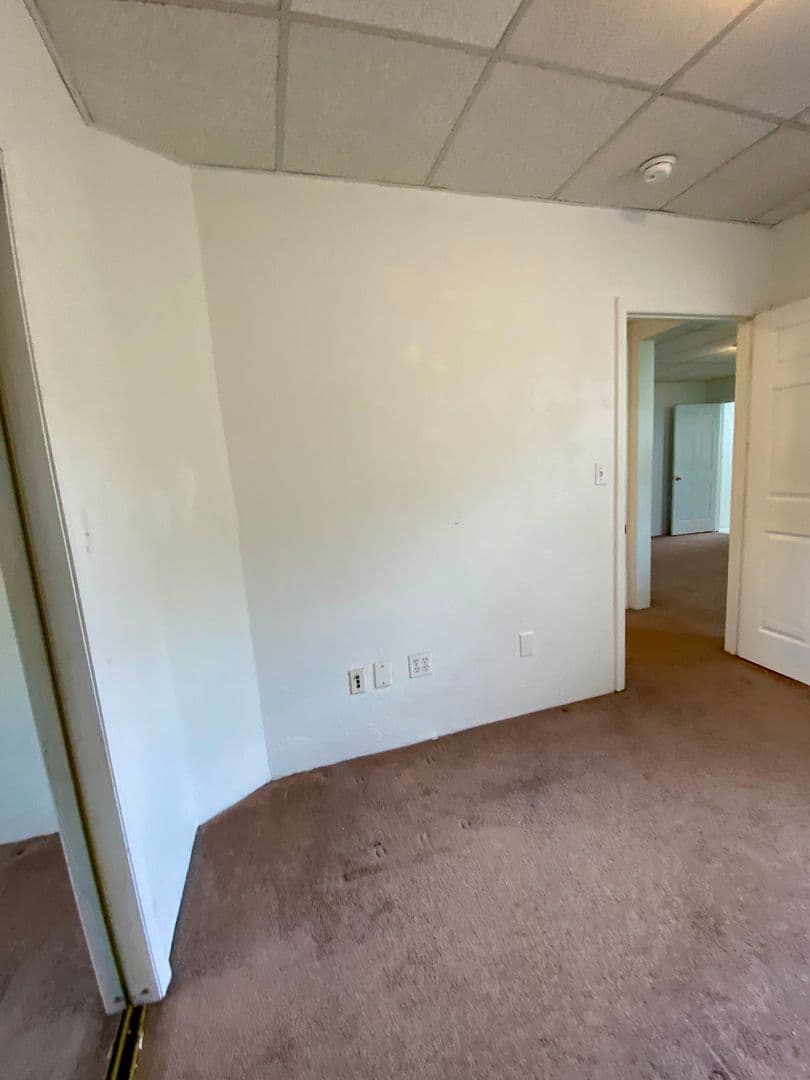 Pittsburgh Apartment: 3617 Dawson St
