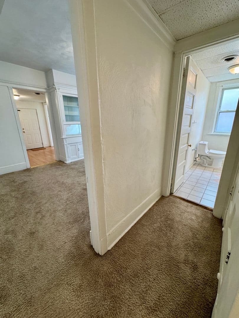 Pittsburgh Apartment: 218 North Craig St