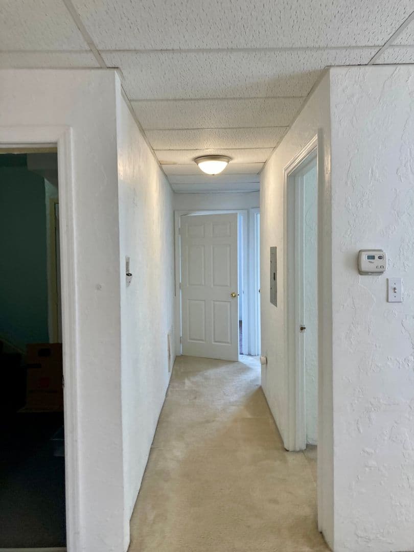 Pittsburgh Apartment: 3617 Dawson St