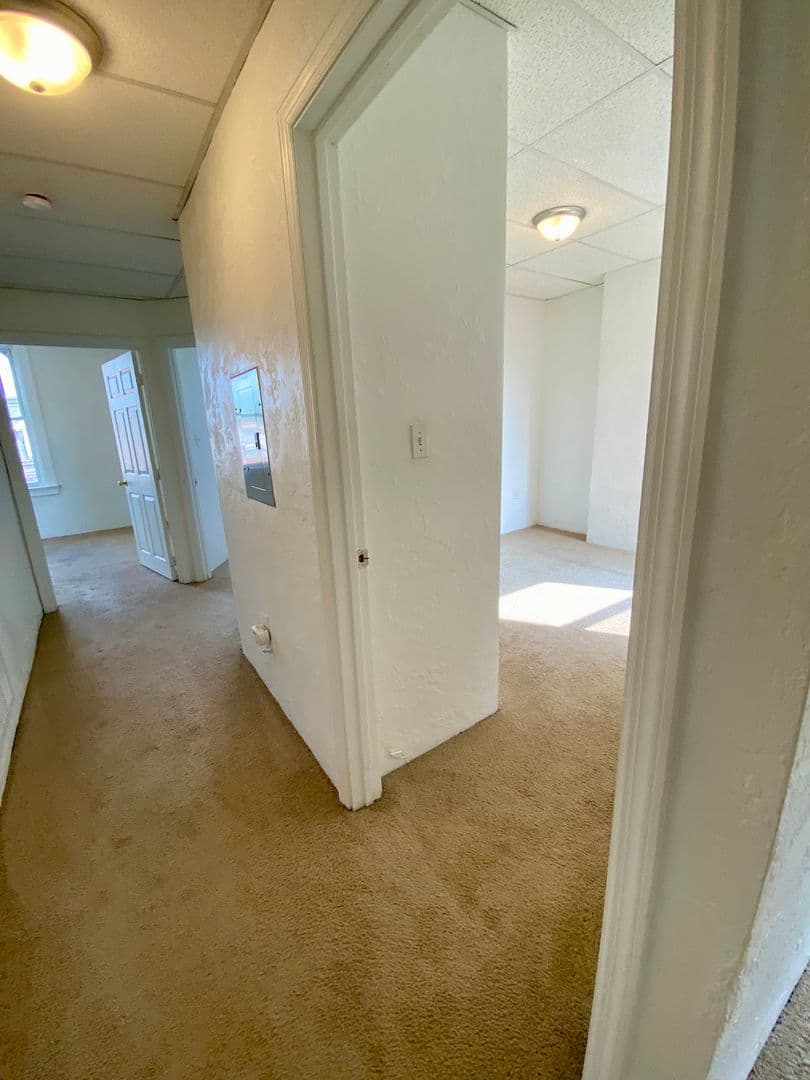 Pittsburgh Apartment: 3617 Dawson St