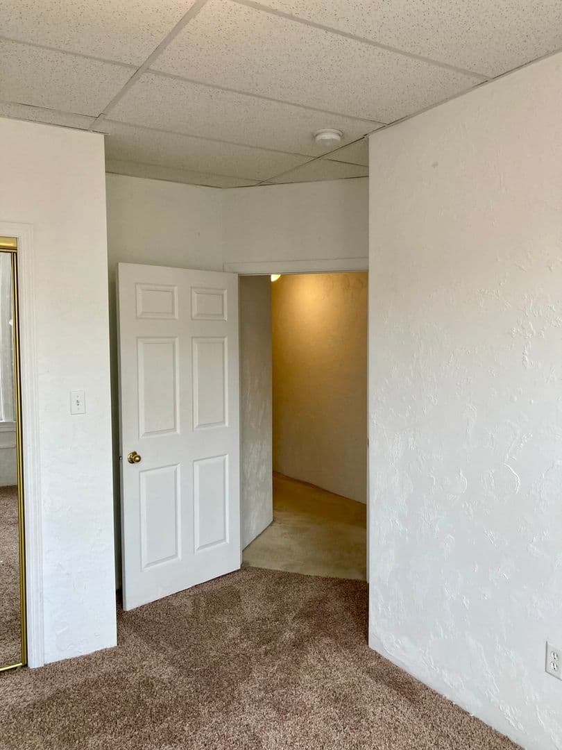 Pittsburgh Apartment: 3617 Dawson St