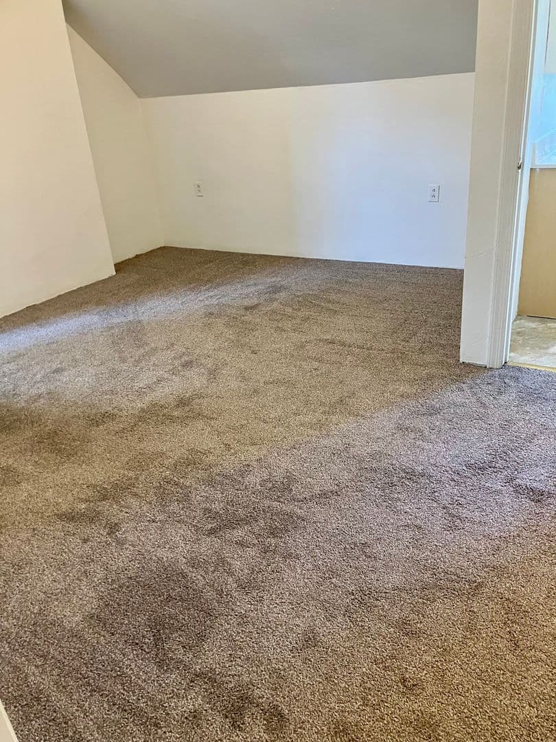 Pittsburgh Apartment: 5819 Bartlett St