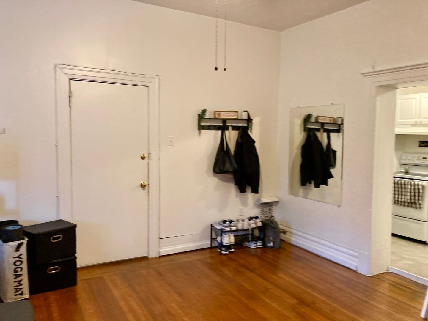 Pittsburgh Apartment: 431 S. Graham St