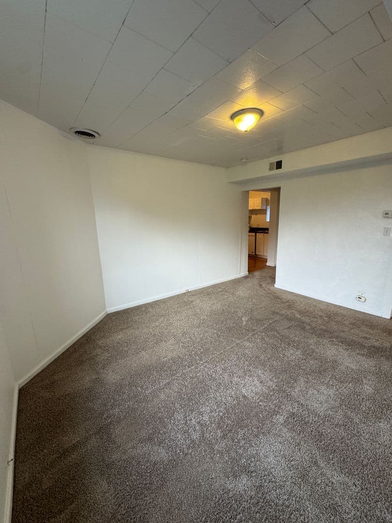 Pittsburgh Apartment: 514 Ivy St