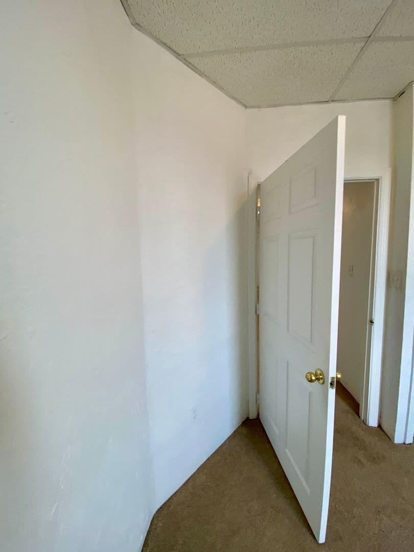 Pittsburgh Apartment: 3617 Dawson St