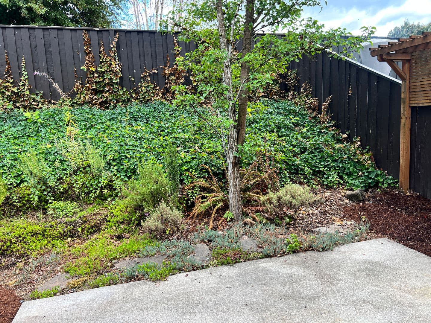 Vancouver House: 4513 NE 91st Way