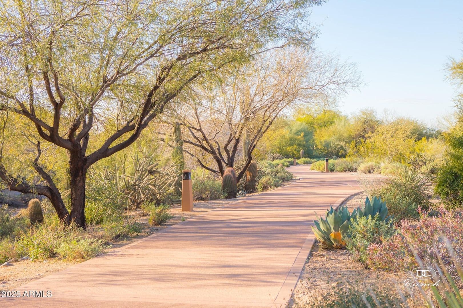 Scottsdale Condo: 20801 N 90th Pl #222