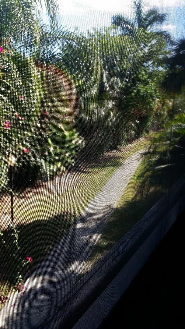 West Palm Beach Condo: 1950 N Congress Ave APT 206