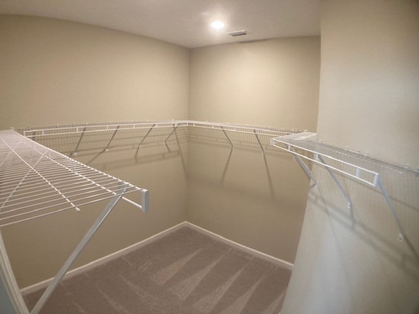 Jacksonville House: 10211 Moran Court