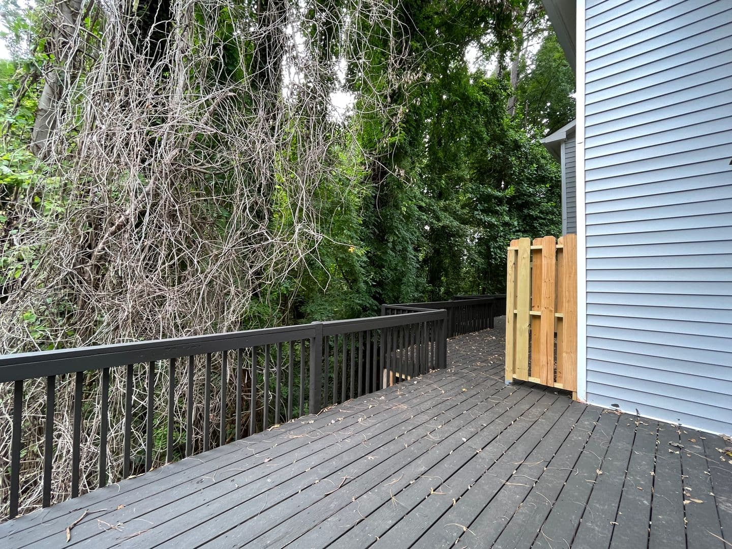 Raleigh Townhome: 212 N Peartree Ln