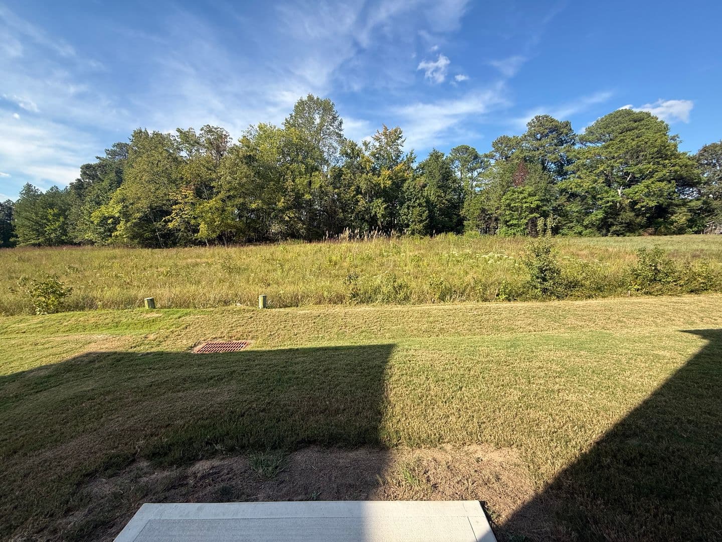 Raleigh Townhome: 10544 Brookside Reserve Road
