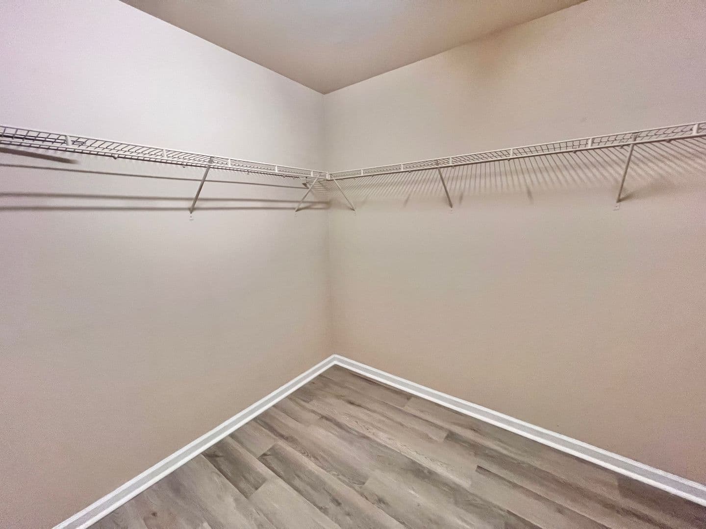 Raleigh House: 2829 Roundleaf Court