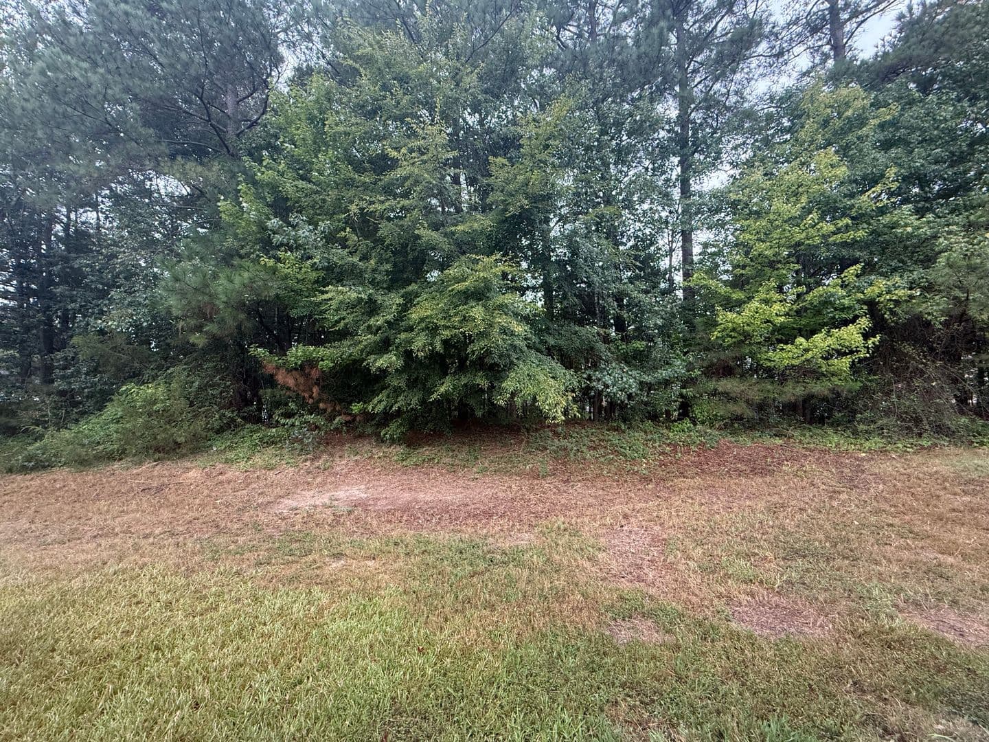 Raleigh House: 3932 Laurel Glen Rd