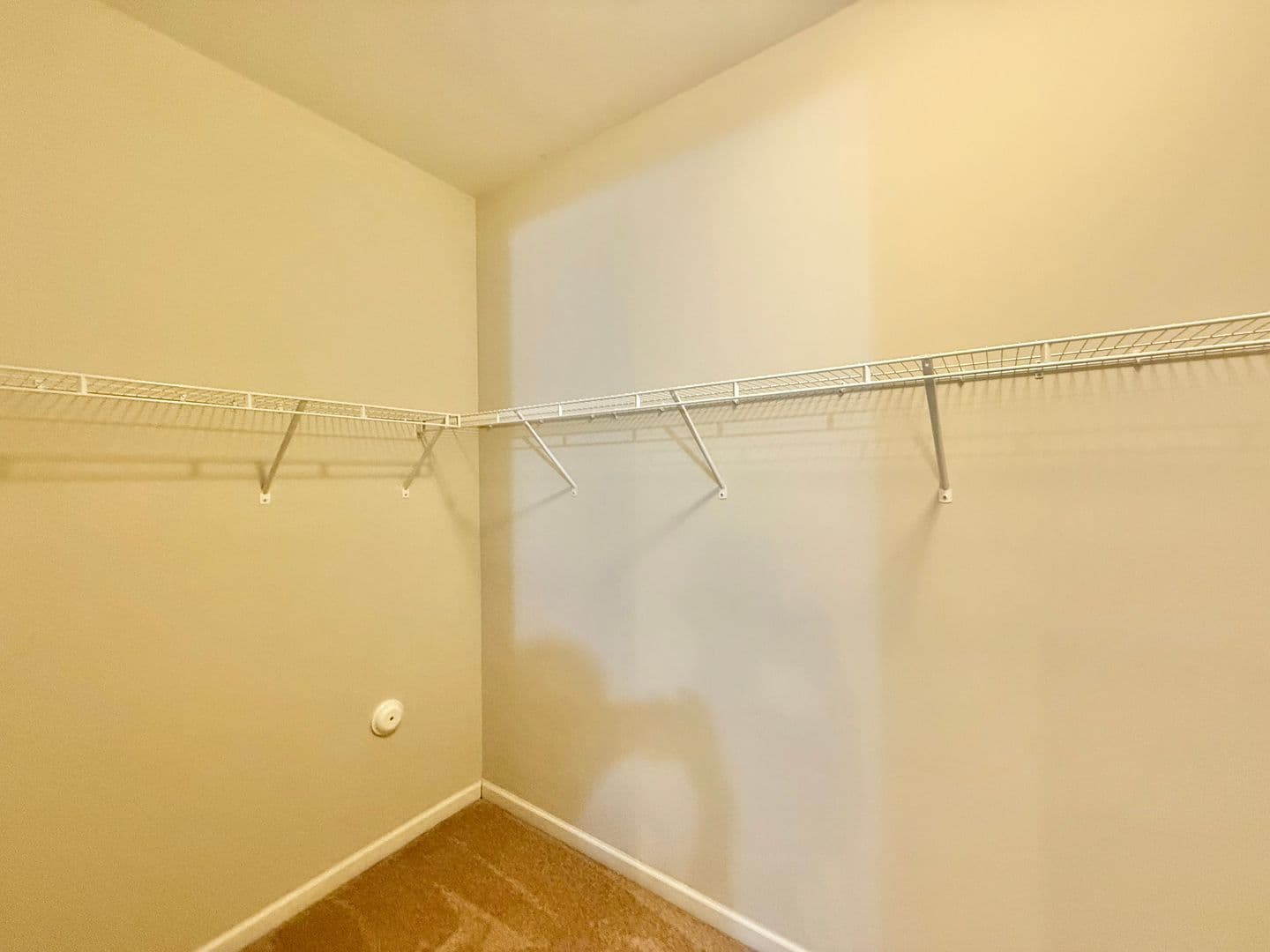 Morrisville Townhome: 310 Princess Place