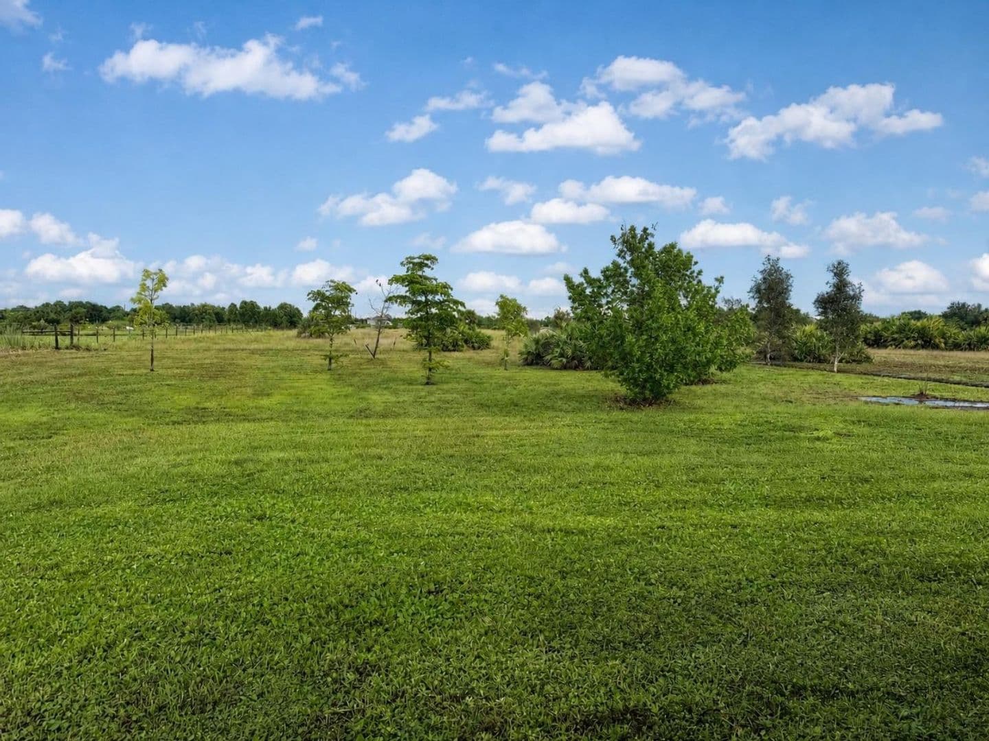 Naples House: 4121 68th Ave NE