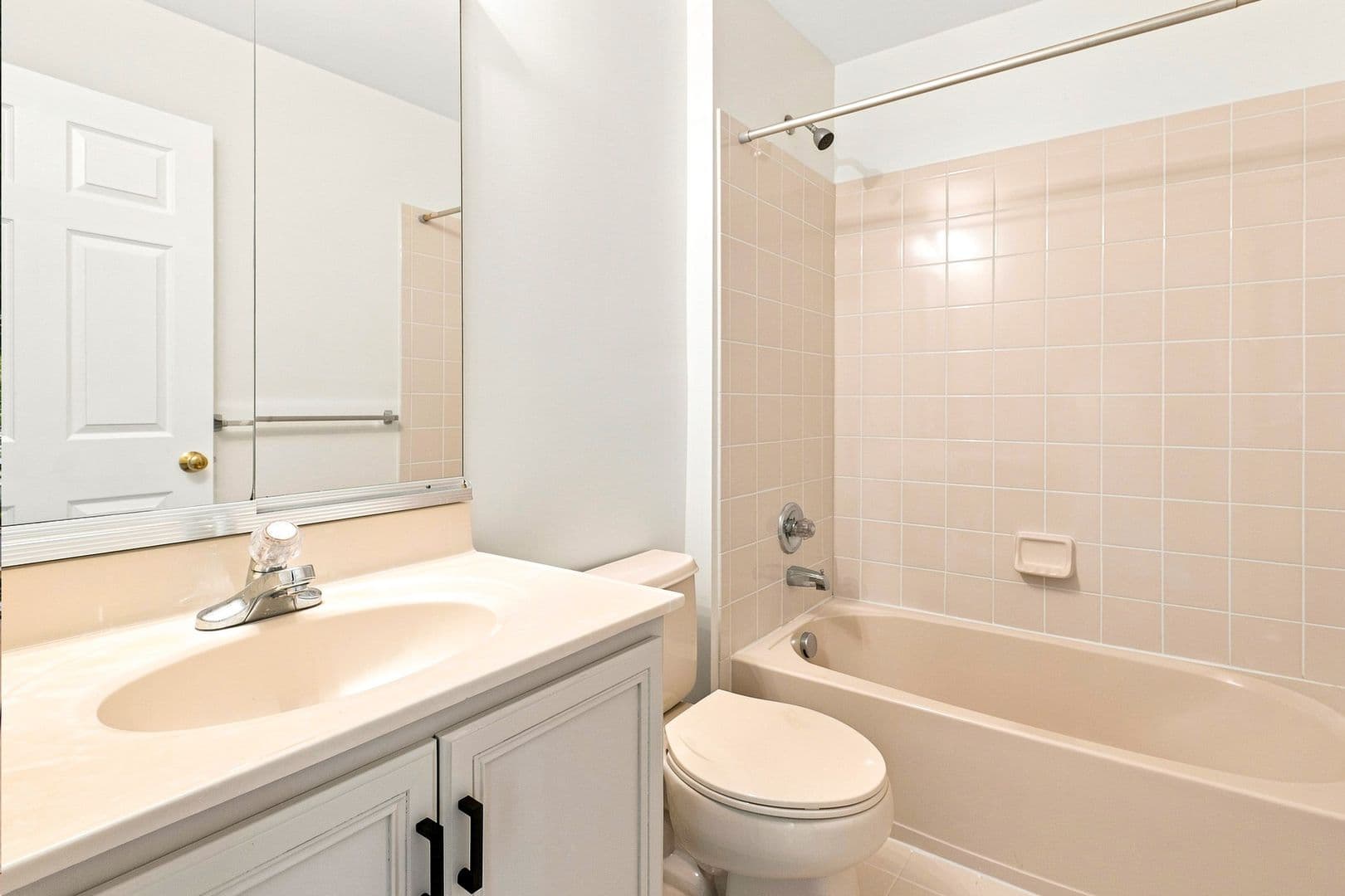 Ashburn Townhome: 20036 Northville Hills Ter