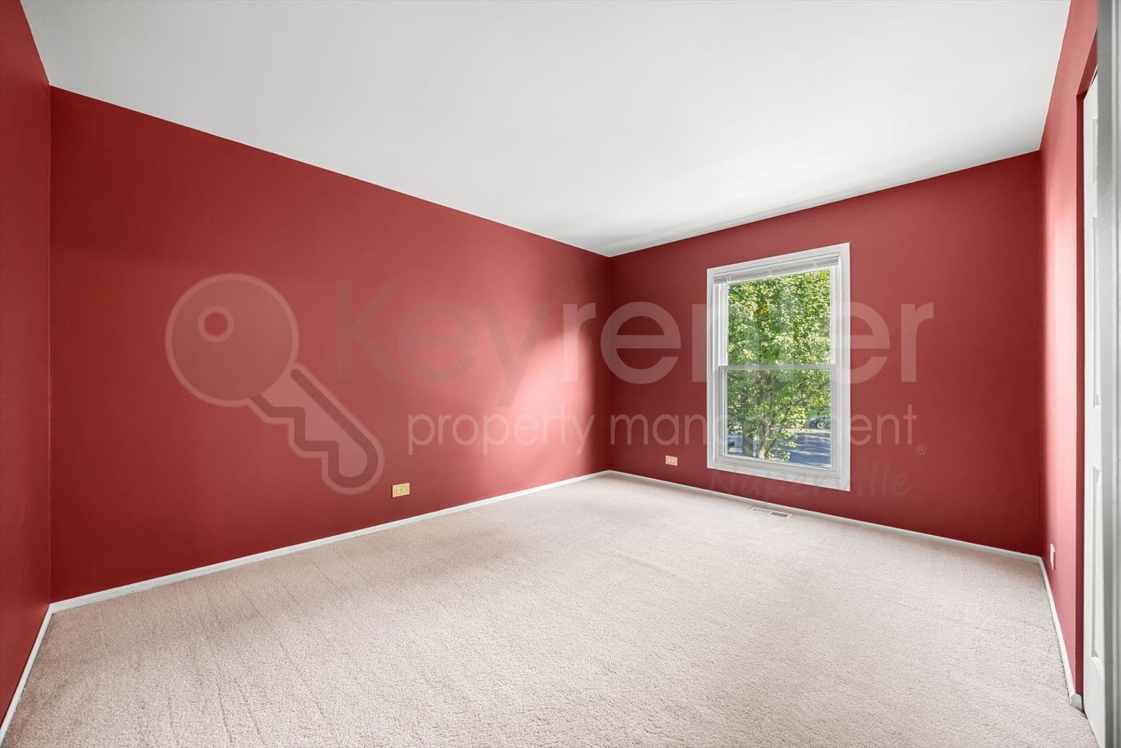 Naperville House: 371 Larchmont Ct.
