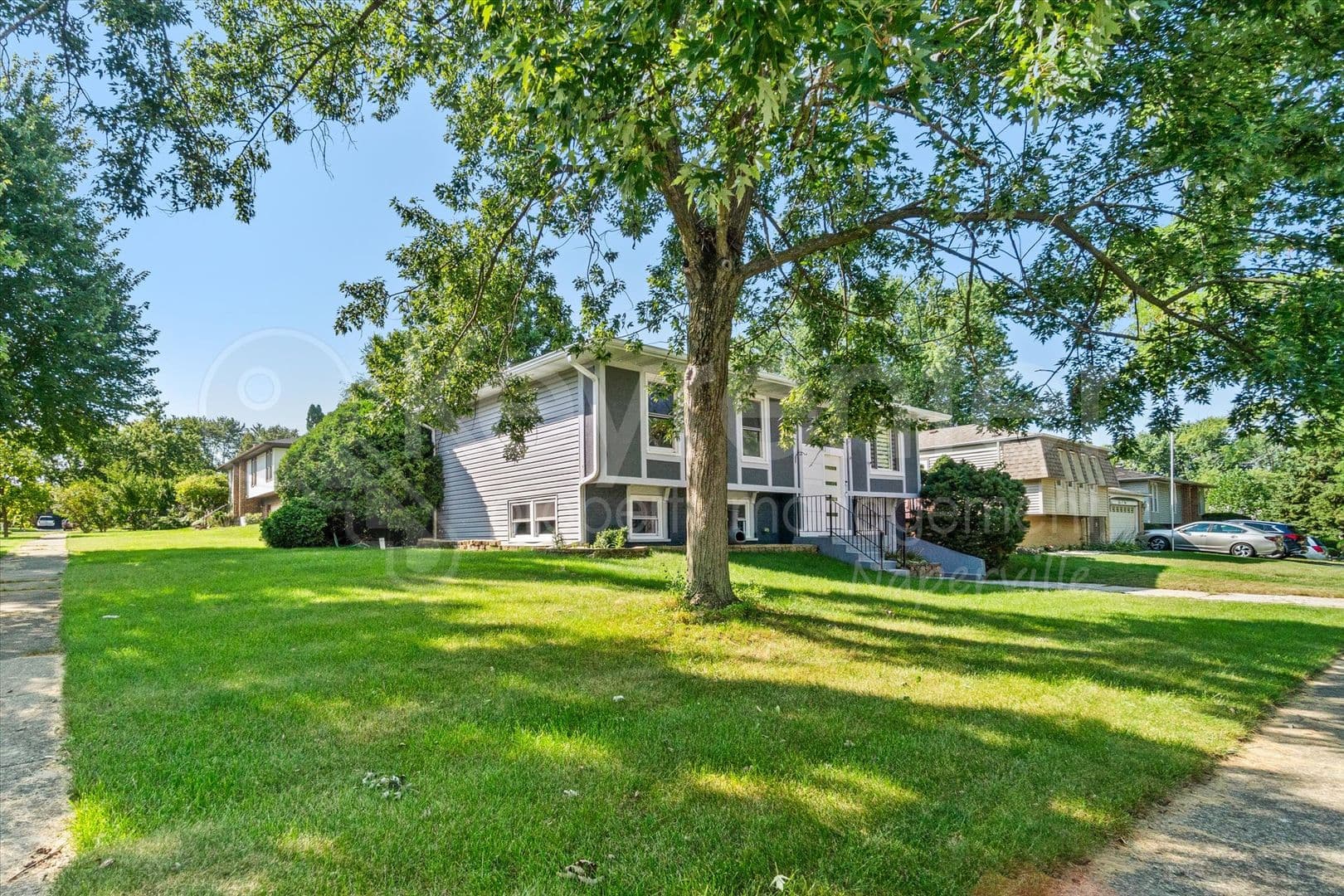 Bolingbrook House: 313 Falcon Ridge Way