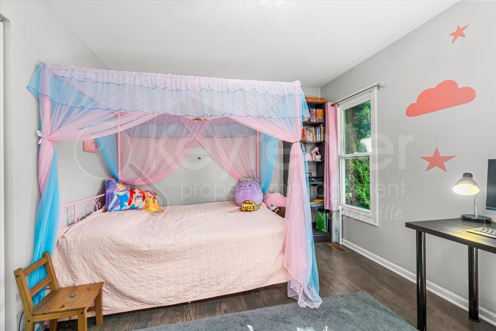 Bolingbrook House: 313 Falcon Ridge Way