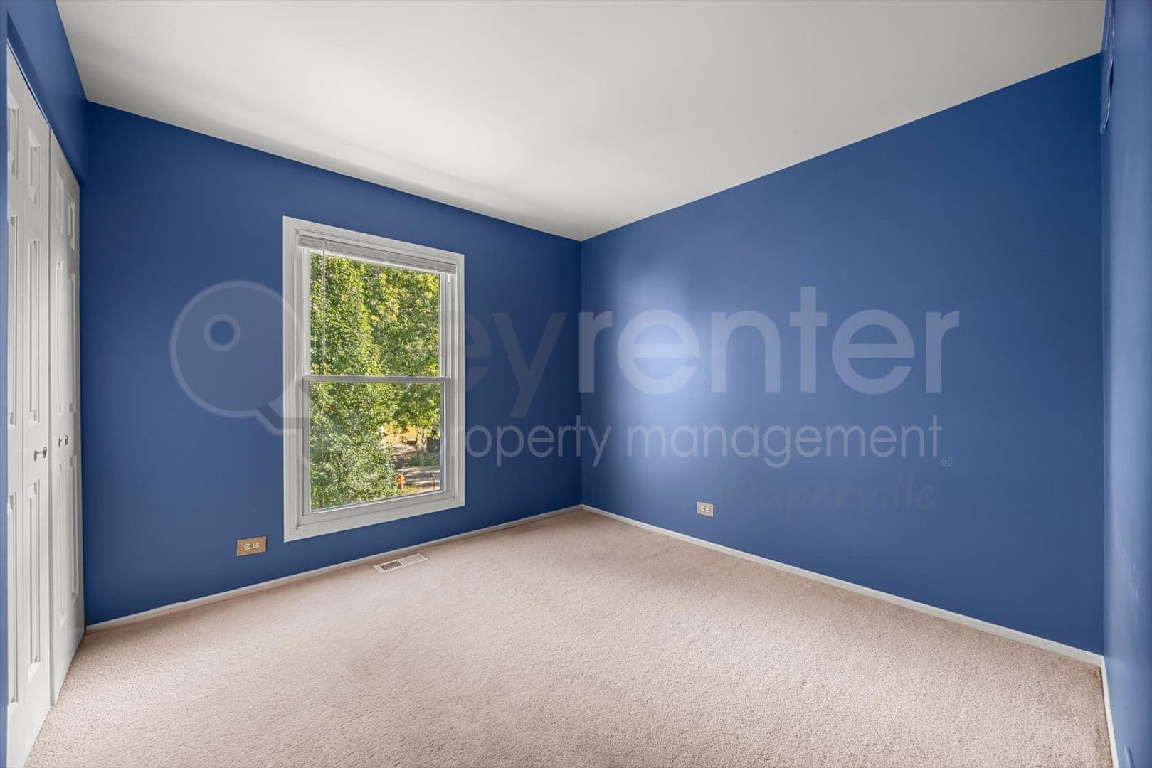 Naperville House: 371 Larchmont Ct.