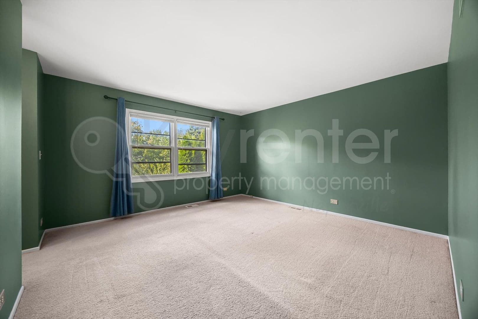 Naperville House: 371 Larchmont Ct.