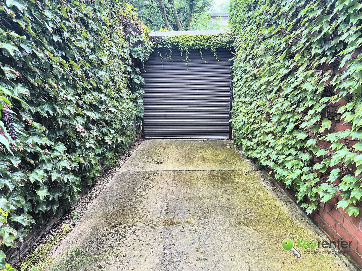 Chicago Condo: 6623 N Greenview Ave, Unit 2N